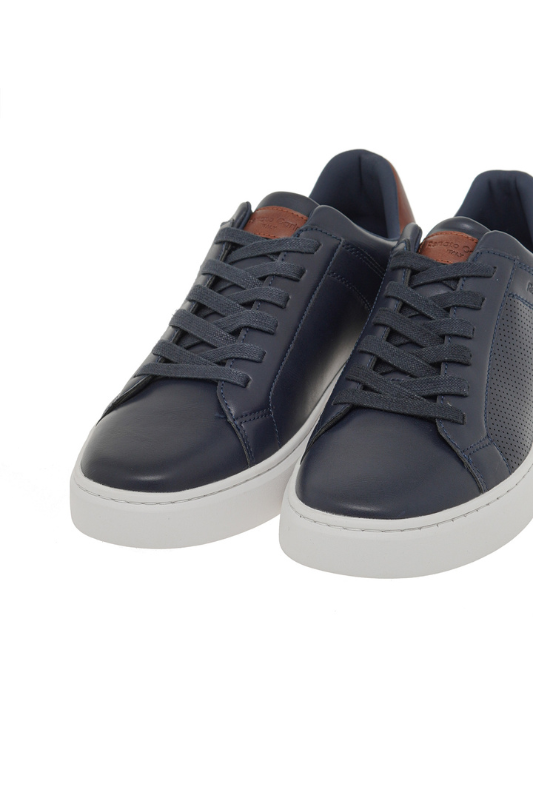 Renato Garini | Μπλε